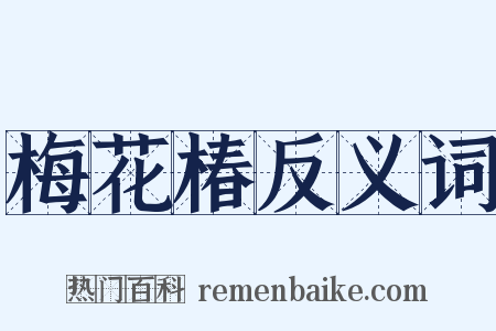 梅花椿反义词是什么意思的图片